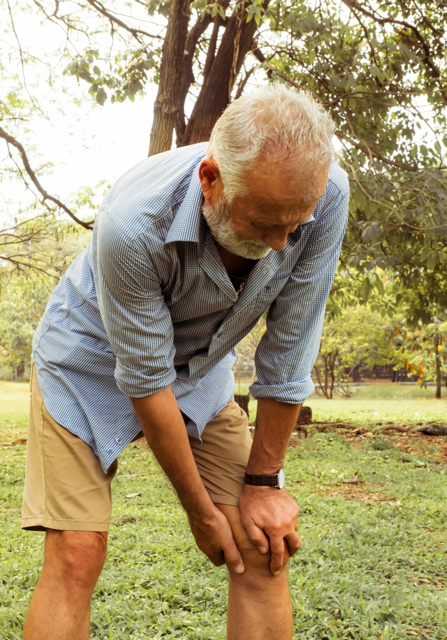 Understanding Pain - QPain